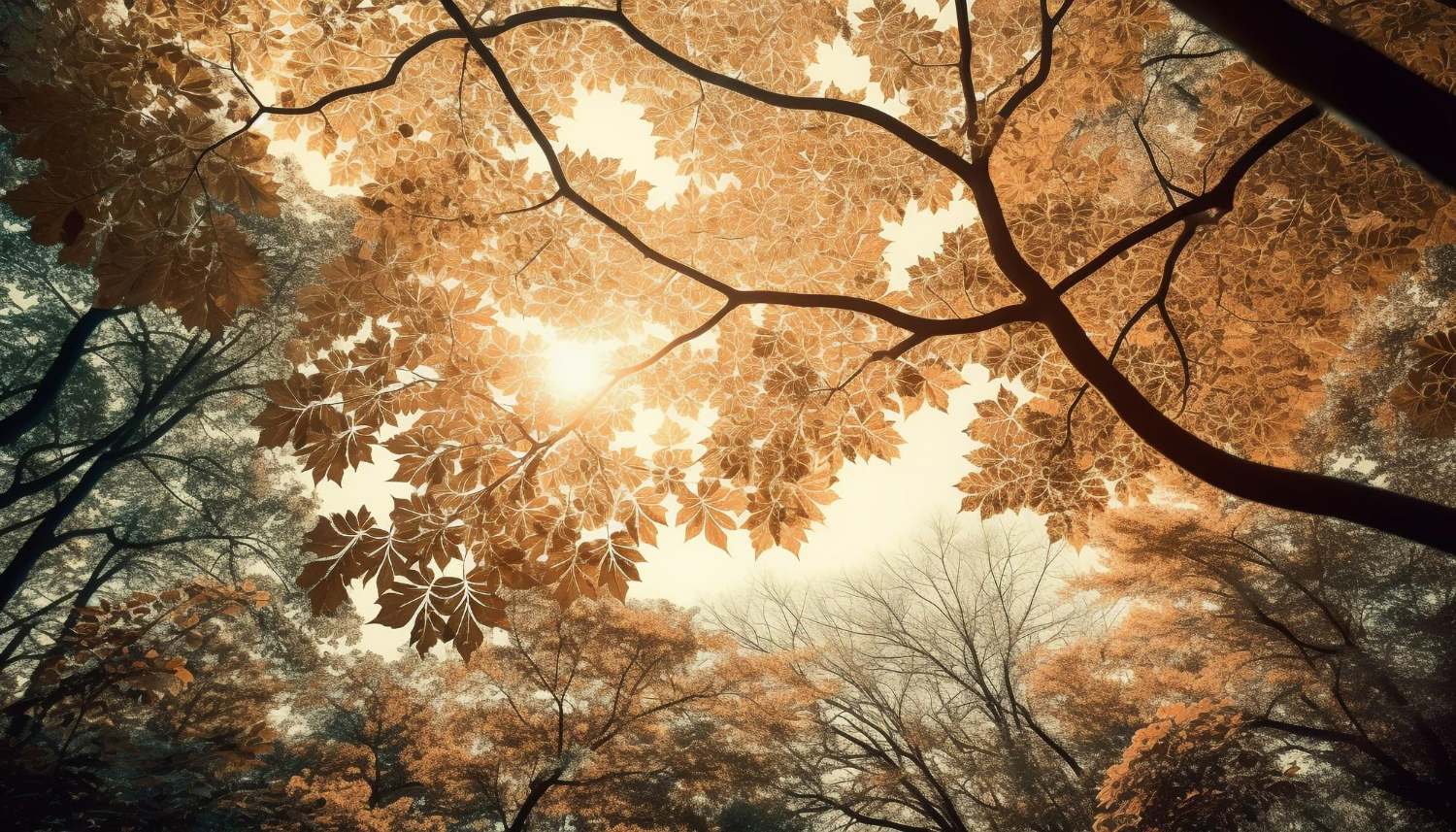 Career Conversations with Employees: Tips For Successful Employee Development